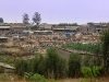 dsc06371