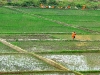 dsc06377_0