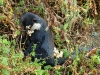 dsc06384_0