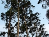 dsc06392_0