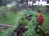 DSC07810