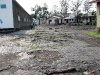 DSC07951