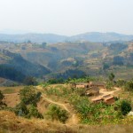 DSC06380